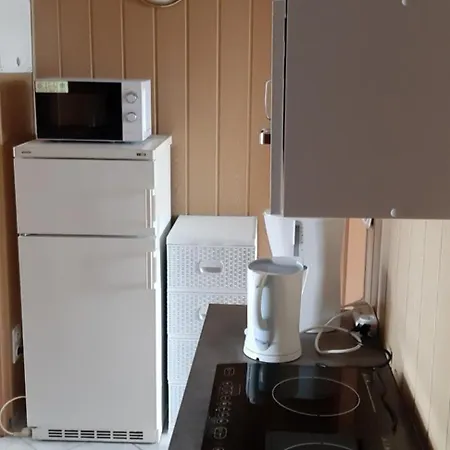 U Izy I Romana Guest house 3*